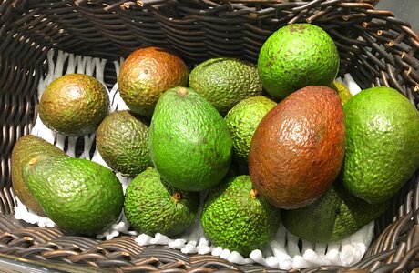 Fruit avocado avocado basket