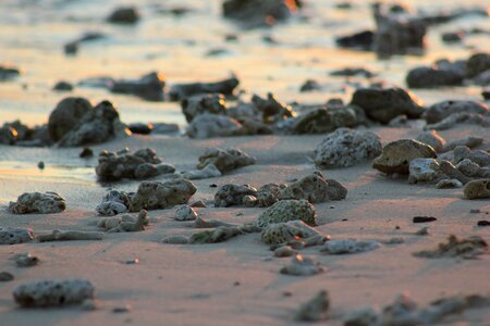 Pebbles beach sea photo