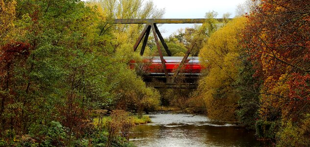 Train autumn train on bridge