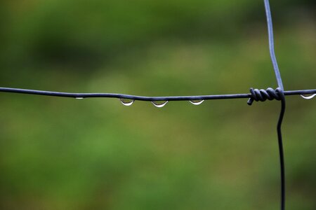 Drop of water fence metal photo