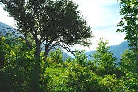 Landscape hiking adventure