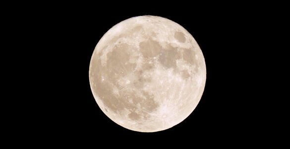 November full moon event