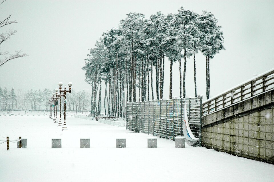 Snow sangam world cup park