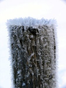 Eiskristalle frost frozen photo