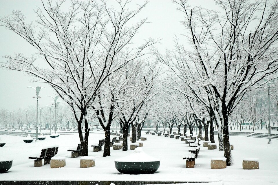 Snow sangam world cup park