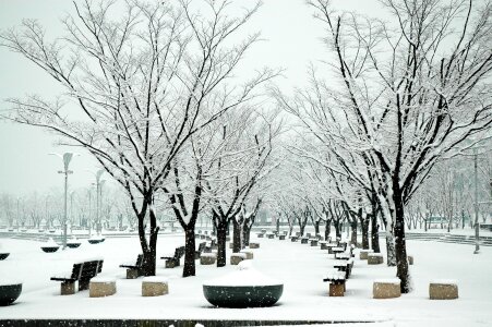 Snow sangam world cup park