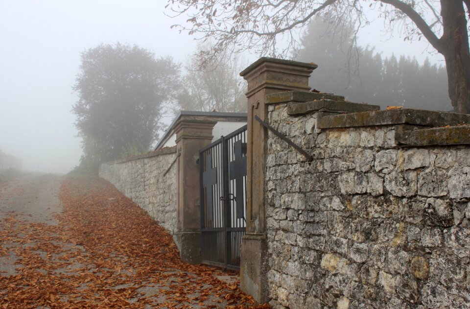 Cemetery fog autumn mood