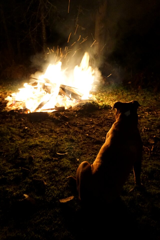 Flicker flames glow