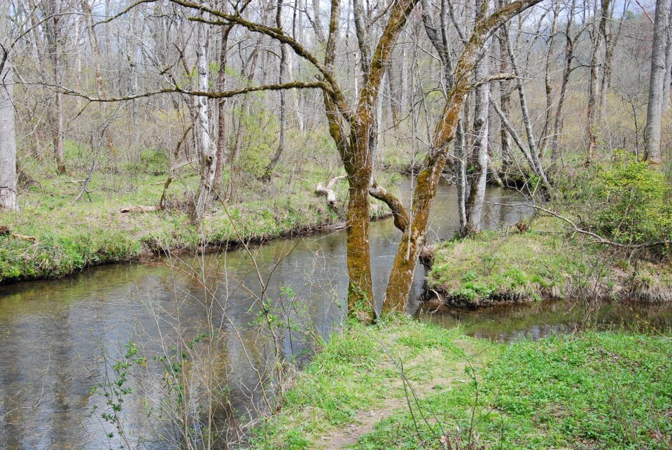 Stream river