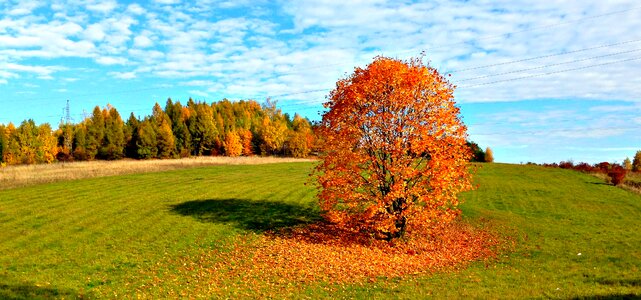 Nature october collapse