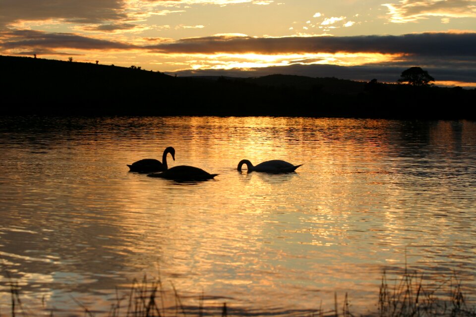 Water nature evening