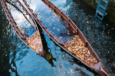 Danube autumn leaves photo