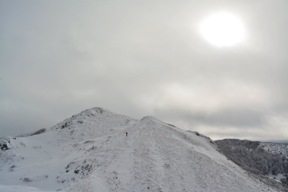 Cold snowfall landscape