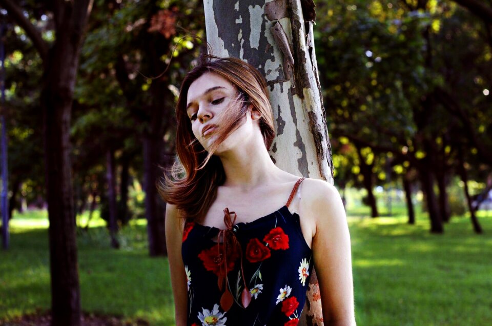 Park forest beauty