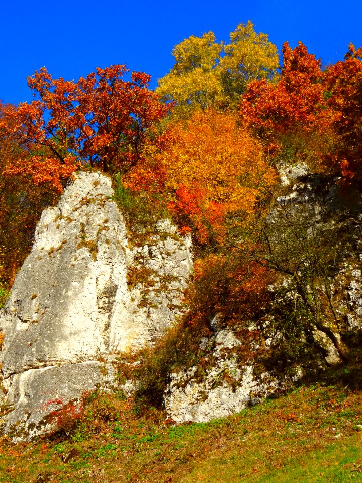 Landscape the national park autumn