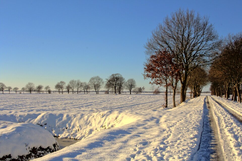 Nature frost season photo