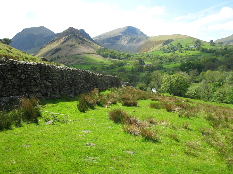 Green scenery field