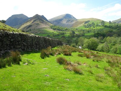Green scenery field