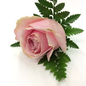 Buttonhole flower romantic