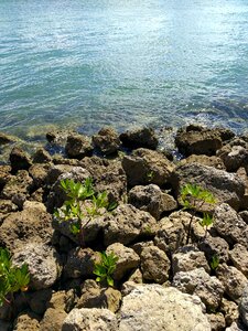 Florida scenery beautiful