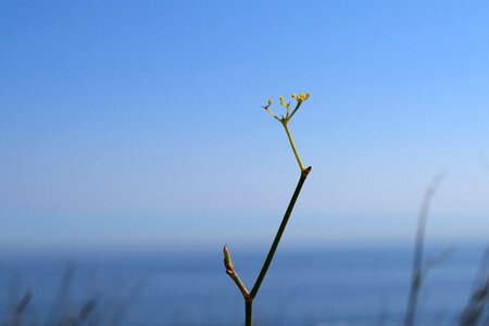 Alone sky nature