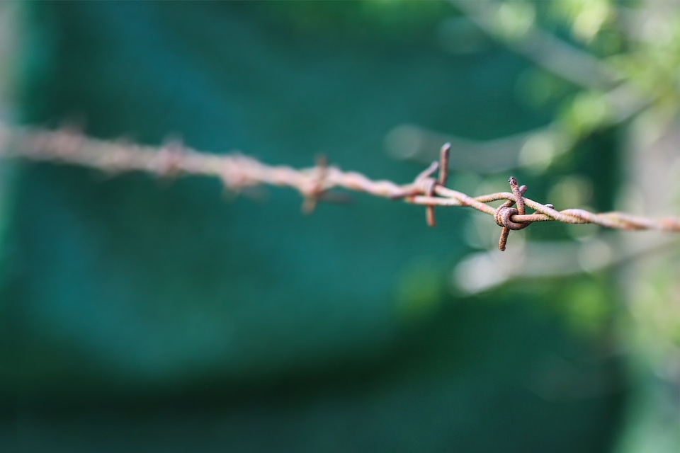 Barbed wire brown close up