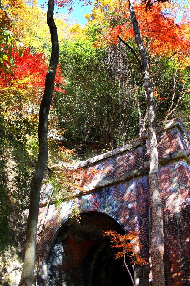 Tunnel autumn japan