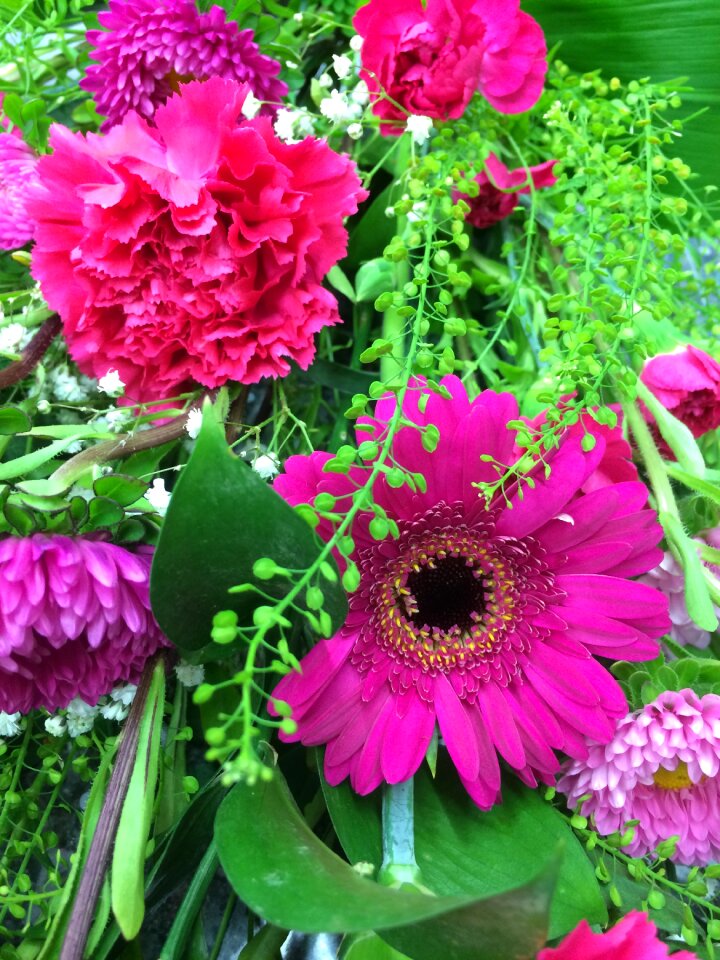 Bright floral natural