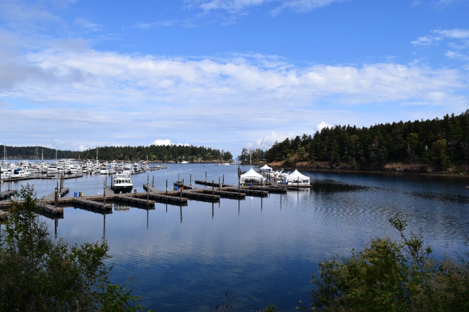 Water calm scenery