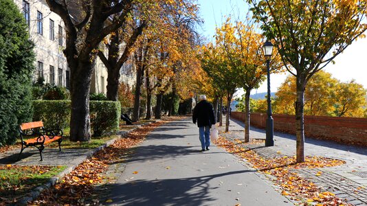 Buda castle promo sunshine