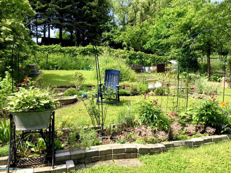 Garden decor landscape design