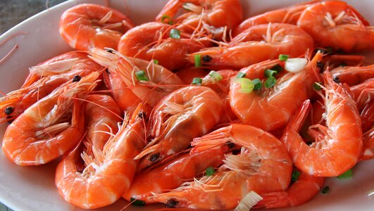 Gourmet prawns red scare