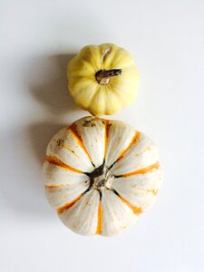 Fall art