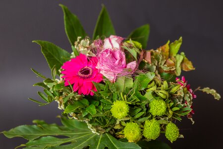 Bloom plant garden
