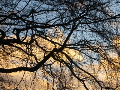 Nature fall landscape