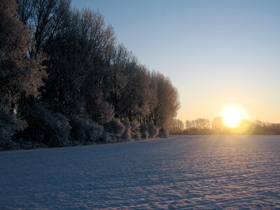 Sunset field in snow edge of the woods photo