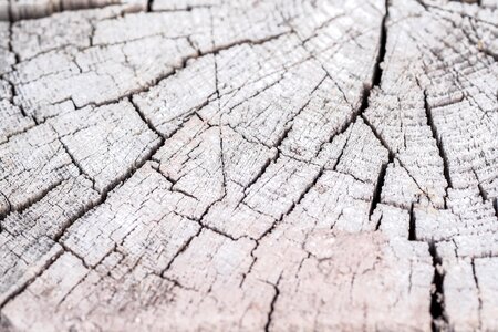 Cracky cracked background