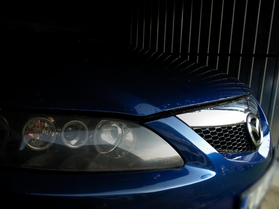 Reflector auto the vehicle