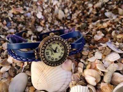 Macro watch shells