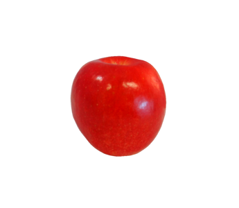 Fruit food