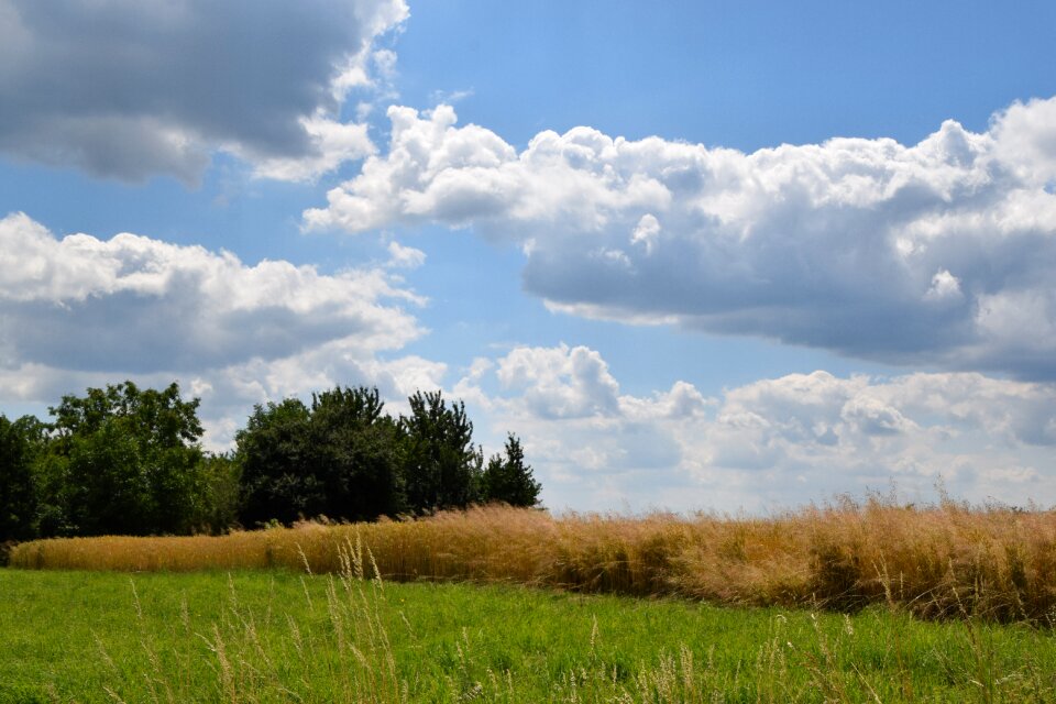 Clouds summer field