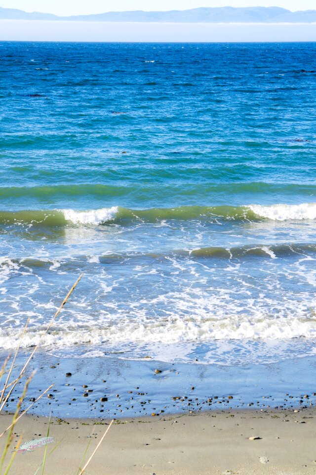 Pacific ocean sea grass sea foam