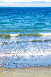 Pacific ocean sea grass sea foam photo