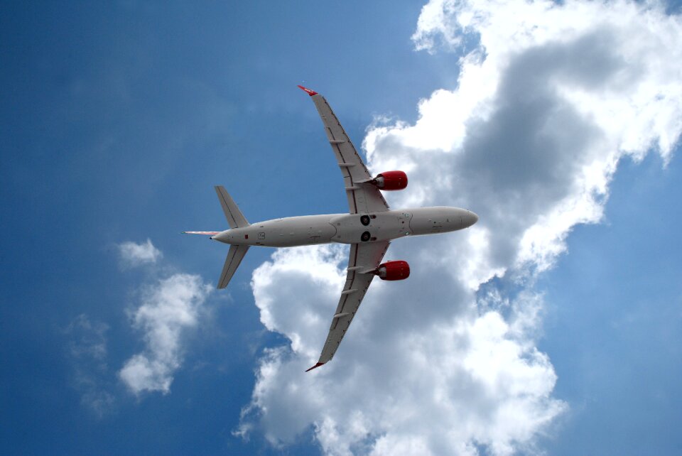 Fly flight jet