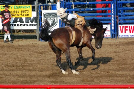 Horseback cowboy photo