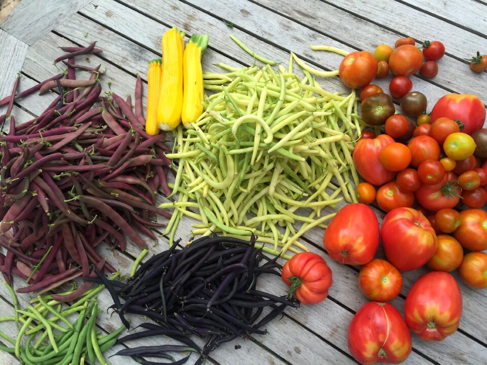 Vegetables from garden