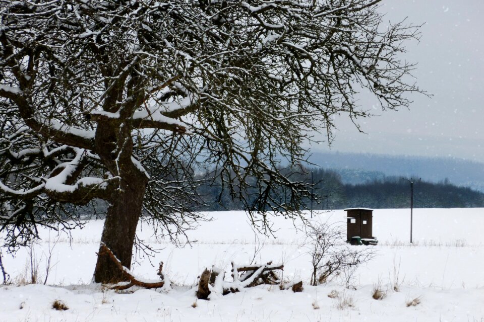 Nature cold snowy