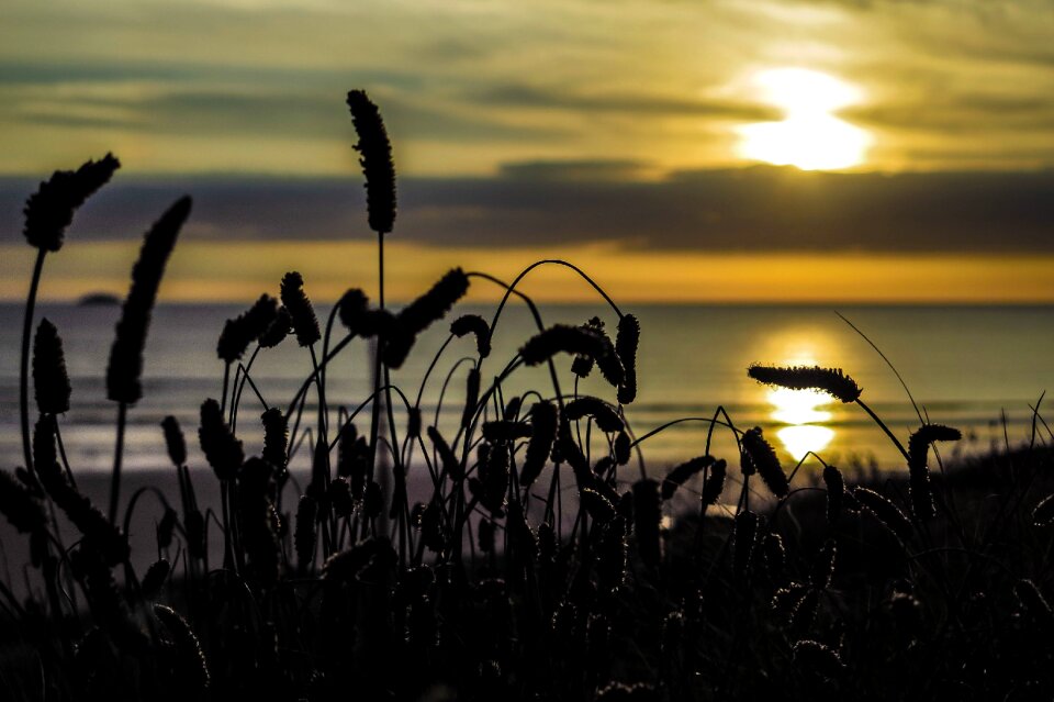 Sea coast