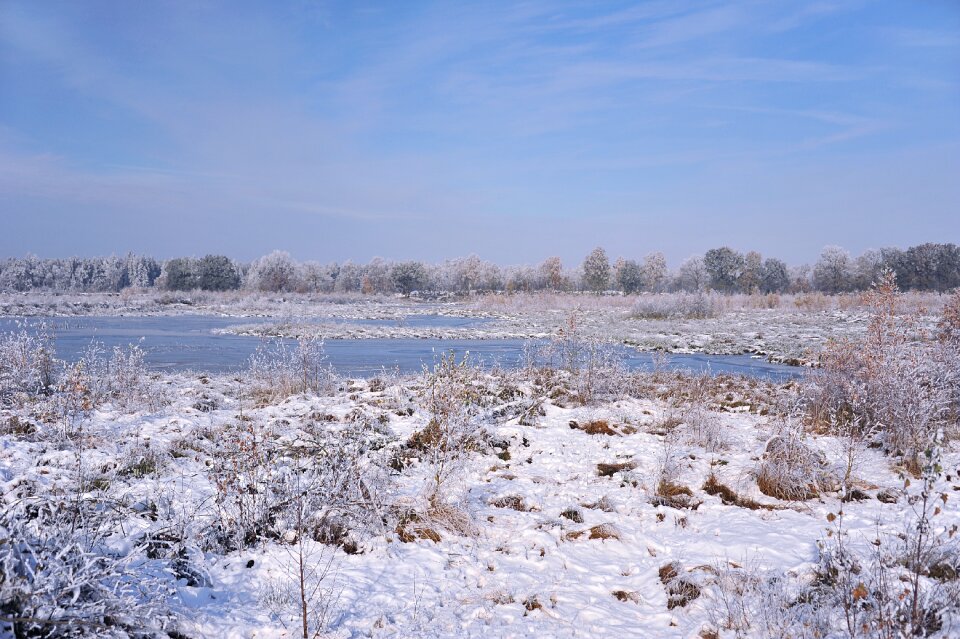 Snow hoarfrost trees