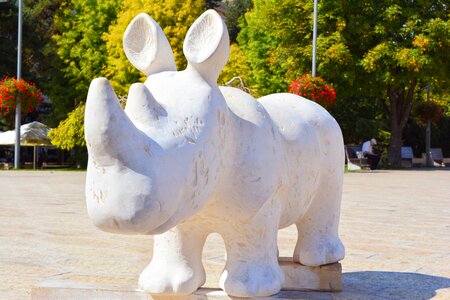 Marble white craiova